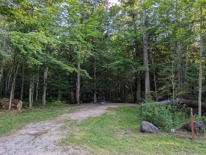 Black River State Forest Campground Picture 4