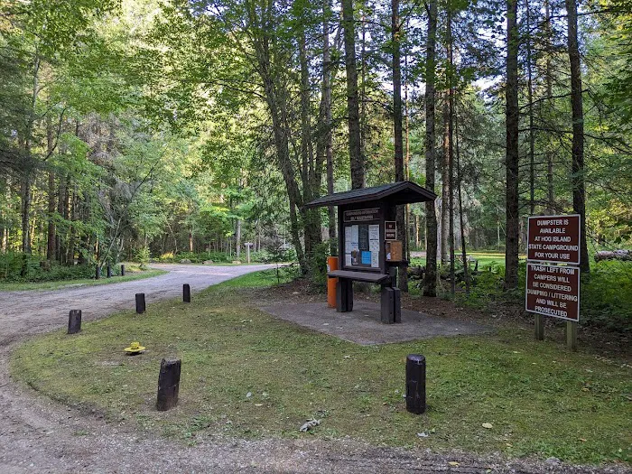 Black River State Forest Campground Picture 1