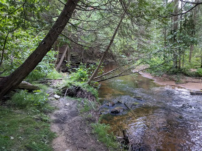 Black River State Forest Campground Picture 9