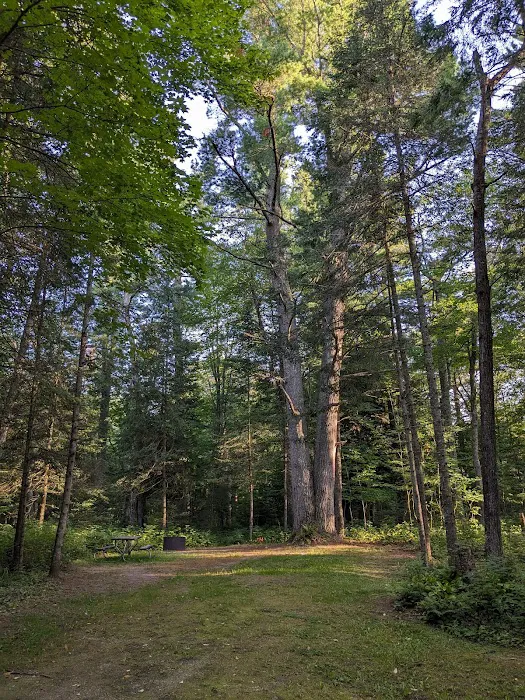 Black River State Forest Campground Picture 6