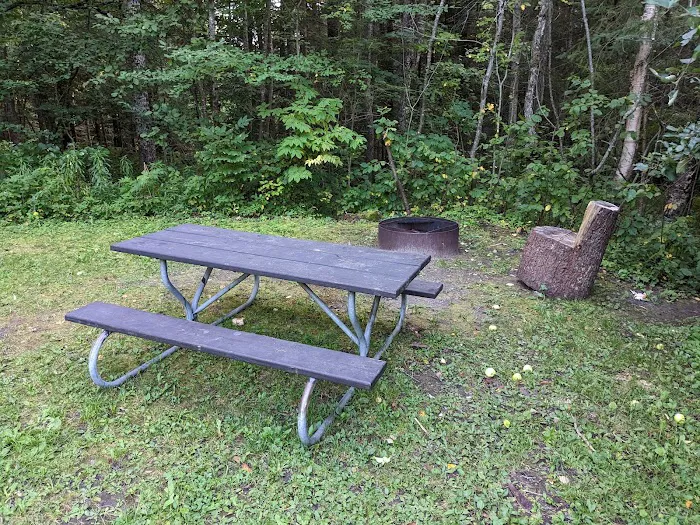 Black River State Forest Campground Picture 7