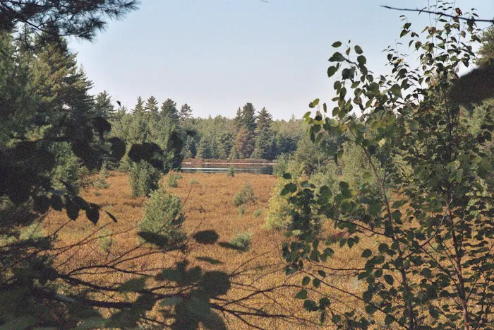 Three Lakes Picture 4