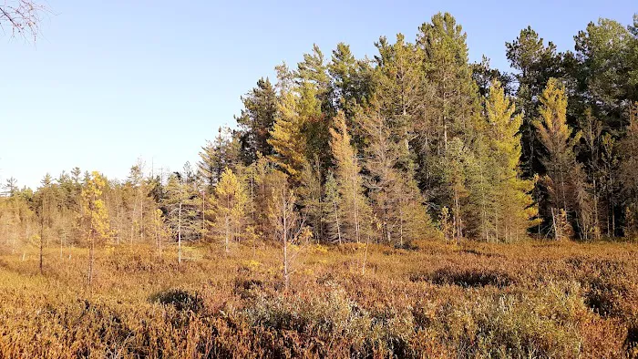 Three Lakes Picture 10