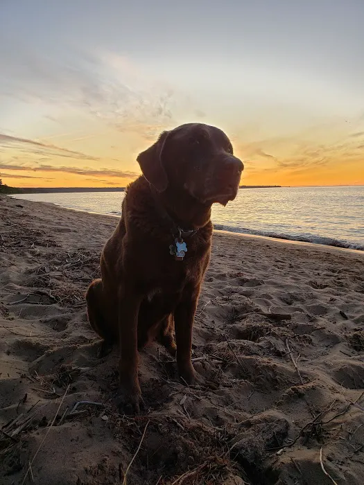 Bay View Campground Picture 9