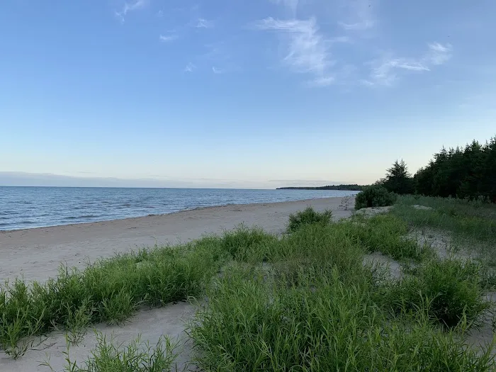 Big Knob State Forest Campground Picture 7