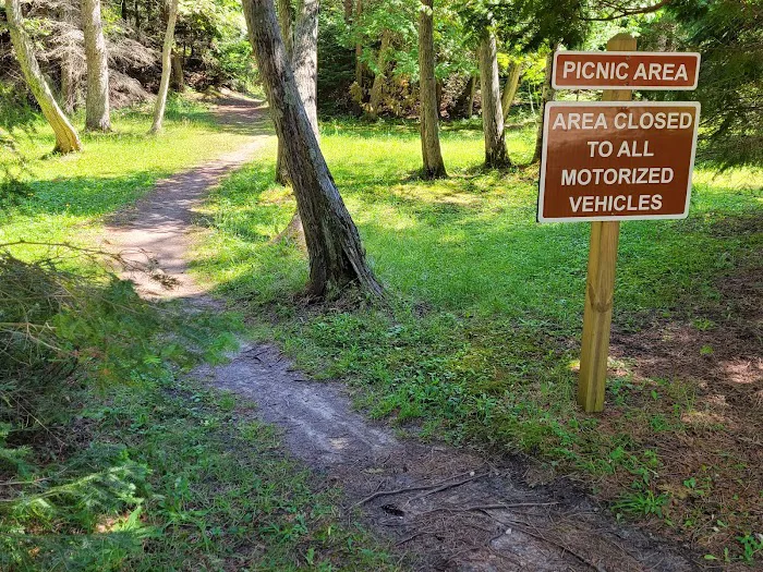 Big Knob State Forest Campground Picture 5