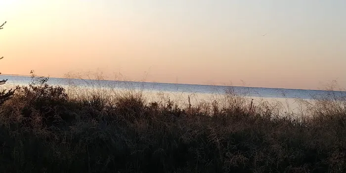 Big Knob State Forest Campground Picture 9