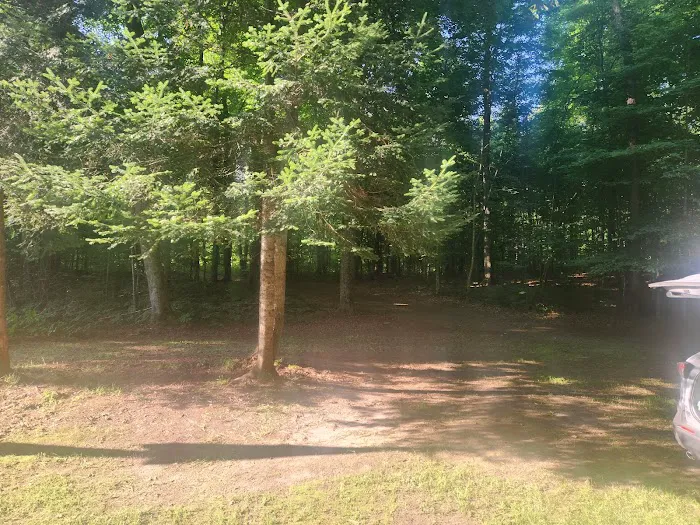 Double D Deer Ranch Picture 7