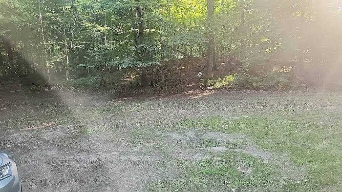 Double D Deer Ranch Picture 4