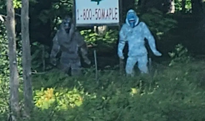 Double D Deer Ranch Picture 5