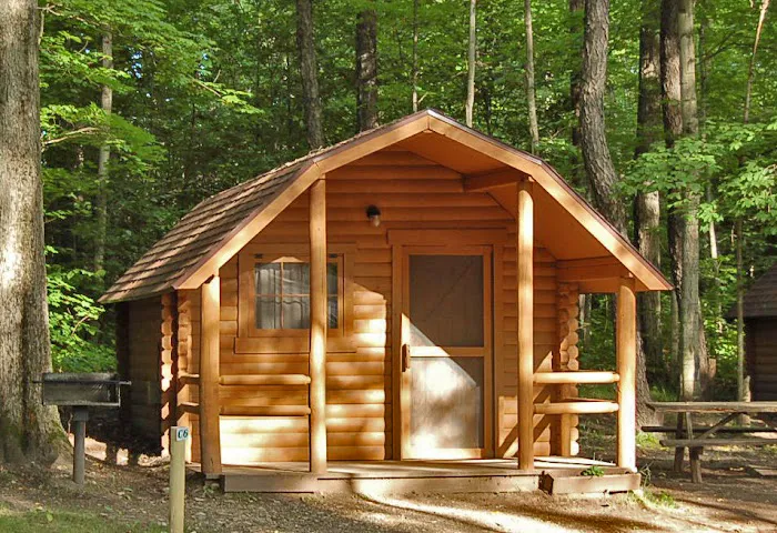 Newberry Campground Picture 4