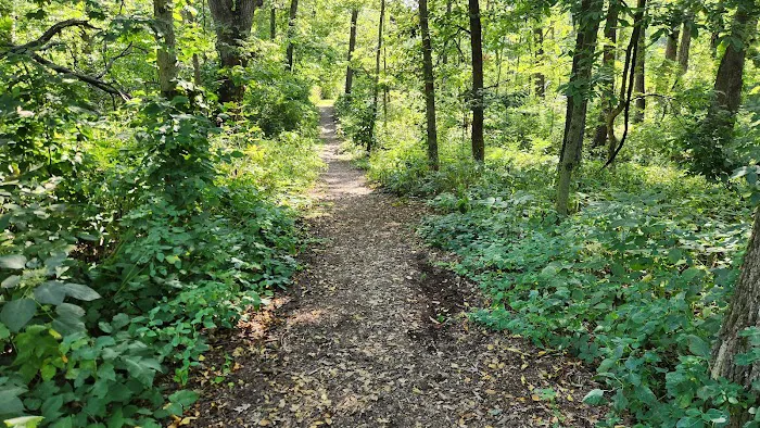 Morrison-Rockwood State Park Campground Picture 1