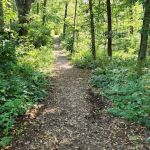 Morrison-Rockwood State Park Campground