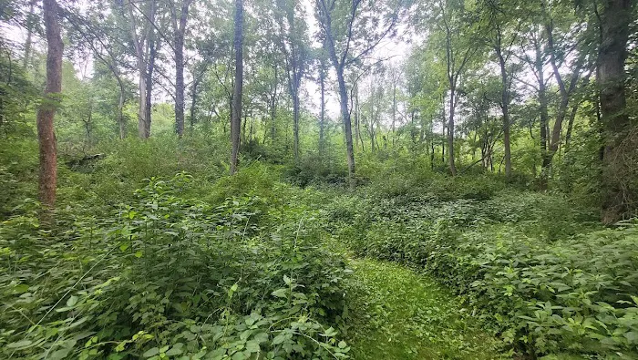 Morrison-Rockwood State Park Campground Picture 6