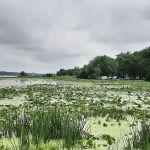 US Army Corps of Engineers