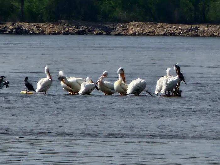 US Army Corps of Engineers Picture 3