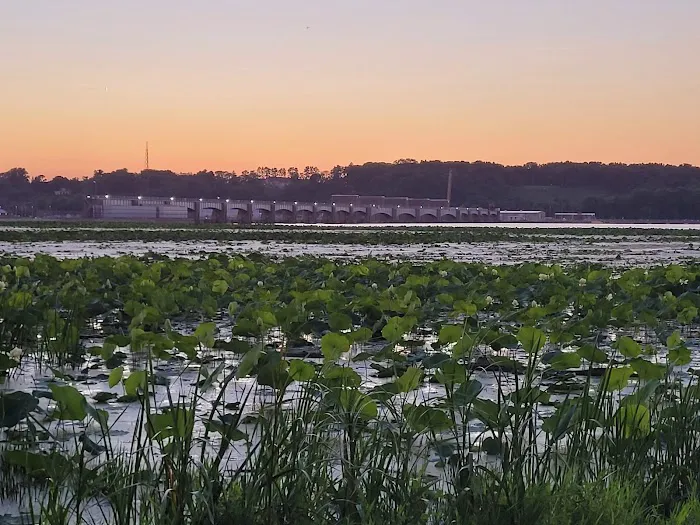 US Army Corps of Engineers Picture 10