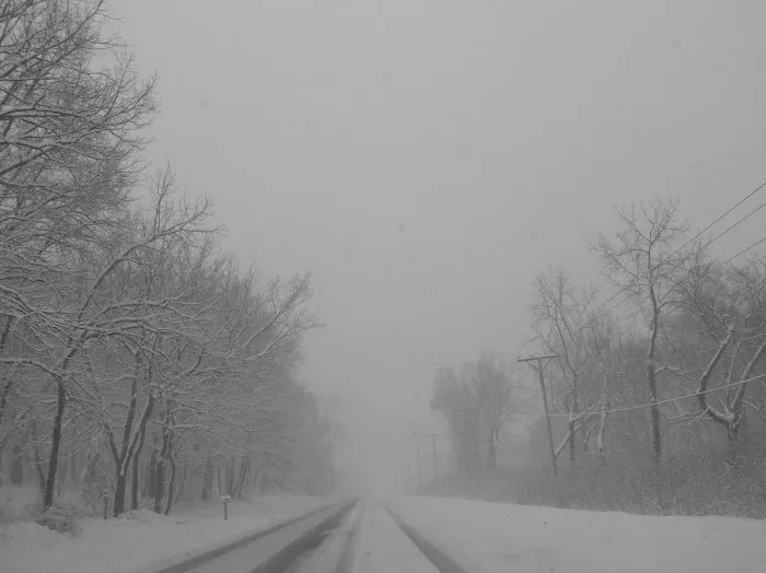 Camp Hauberg Picture 8