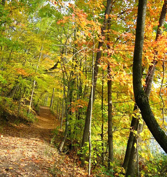 Glacier Hills Rustic Lakefront Cabins Picture 5