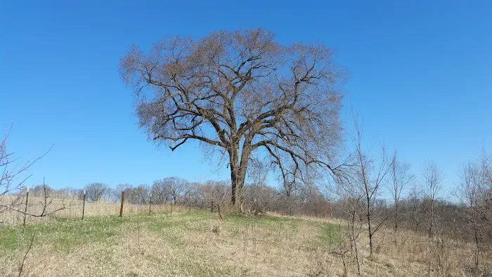 Tom's Campground Picture 3