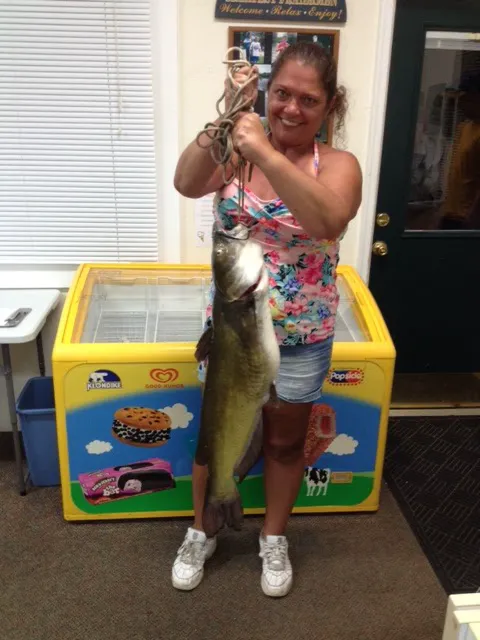 Lake Joy Campground Picture 2