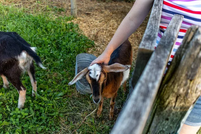 Hoofbeat Ridge Camps Picture 2