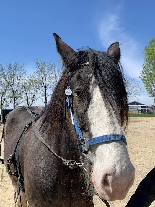 Hoofbeat Ridge Camps Picture 7