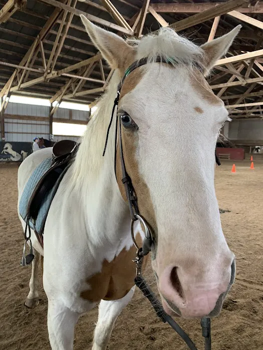 Hoofbeat Ridge Camps Picture 8