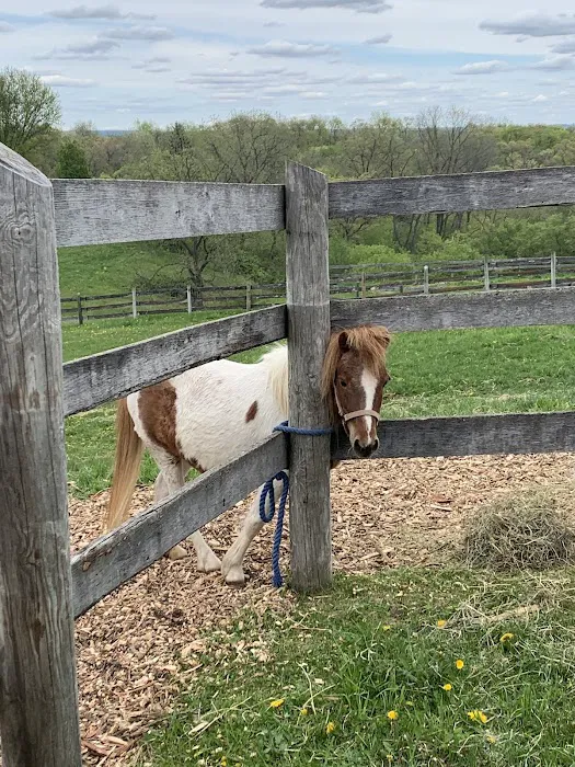 Hoofbeat Ridge Camps Picture 5