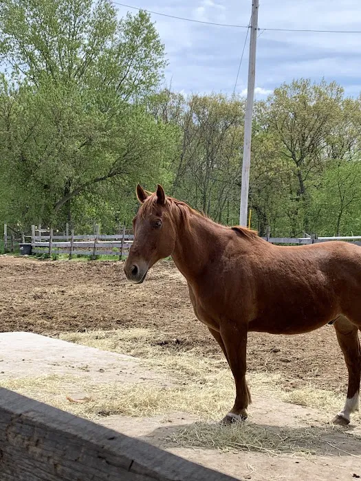 Hoofbeat Ridge Camps Picture 6