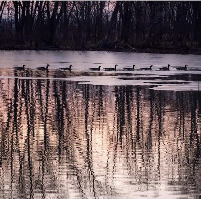 Spring Lake Campground Picture 2
