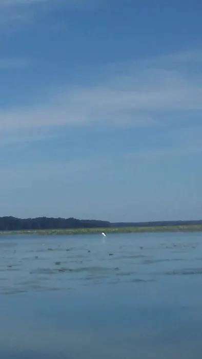 Fin and Feather Campground Picture 2