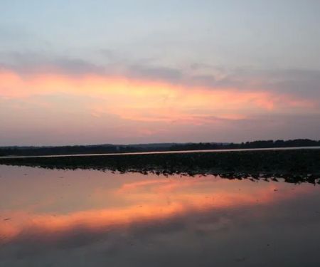 Fin and Feather Campground