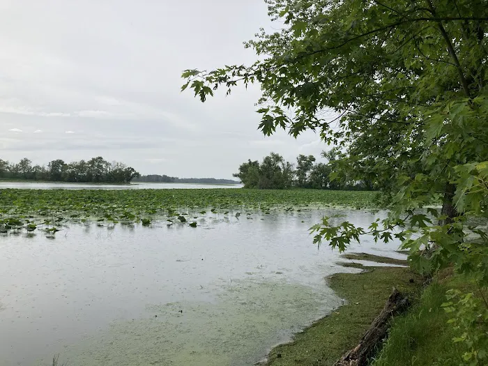 Fin and Feather Campground Picture 9