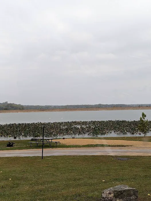 South Sabula Lake Campground Picture 6