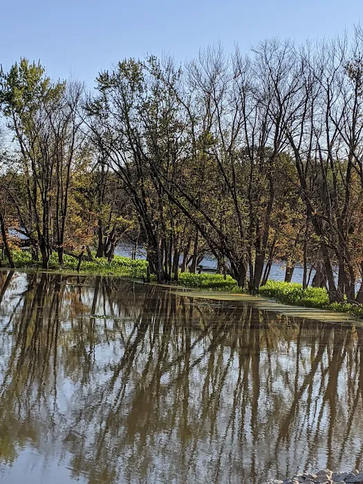 South Sabula Lake Campground Picture 9