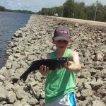 Corps-Engineers Thomson Causeway