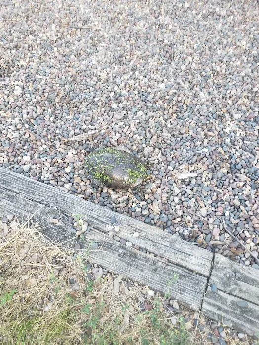 River Birch Campground Picture 9