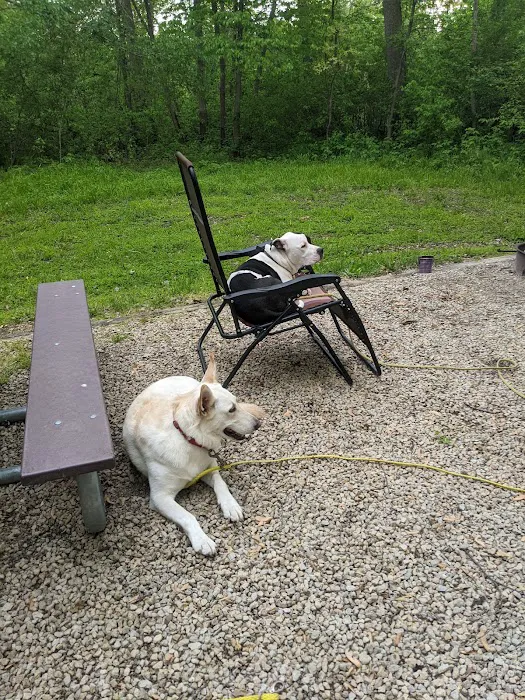 Thomson Causeway Recreation Area Picture 5