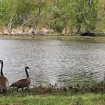 Thomson Causeway Recreation Area