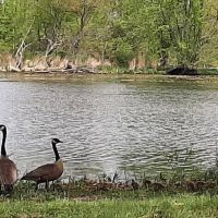 Thomson Causeway Recreation Area ico