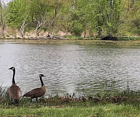Thomson Causeway Recreation Area