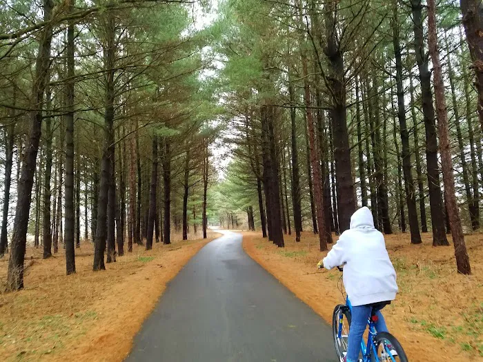 Thomson Causeway Recreation Area Picture 10