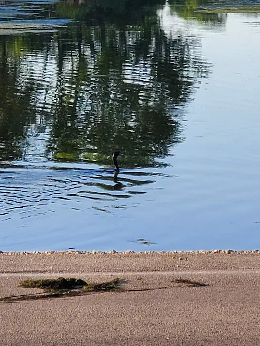 Potters North Campground Picture 6