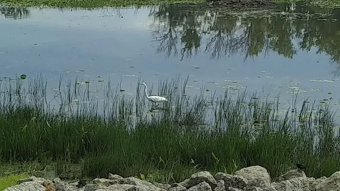 Potters North Campground Picture 5