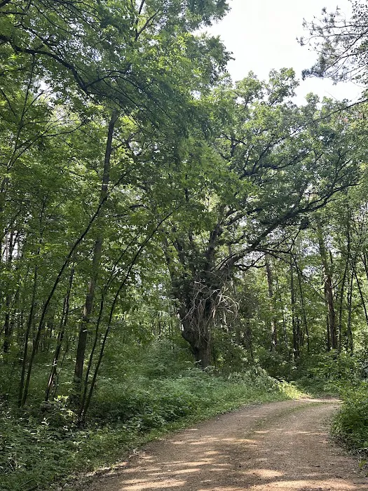 Camp Miss-Elk-Ton Picture 7