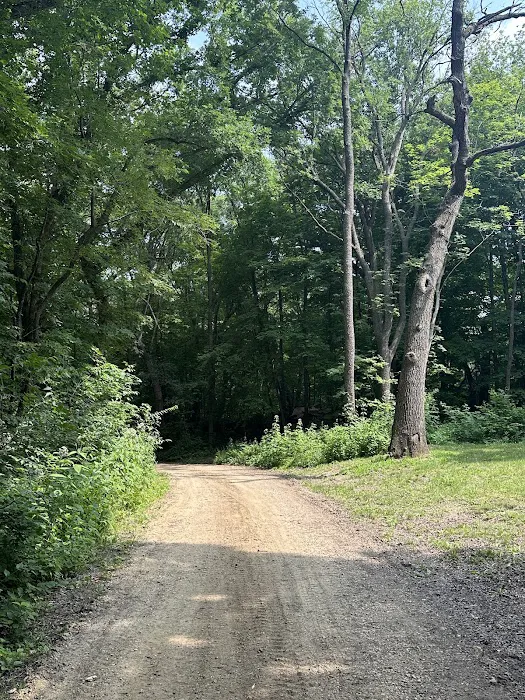 Camp Miss-Elk-Ton Picture 8