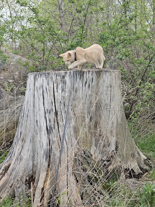 Hickory Point Campground Picture 5