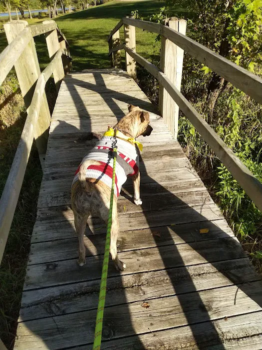 Blanding Landing Recreation Area Picture 9