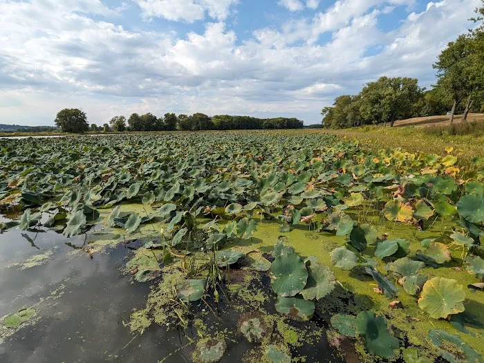 Blanding Landing Recreation Area Picture 8
